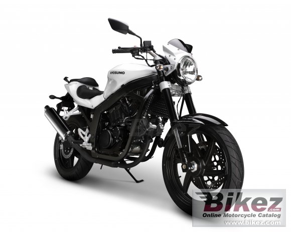 2010 Hyosung GT 250 photo